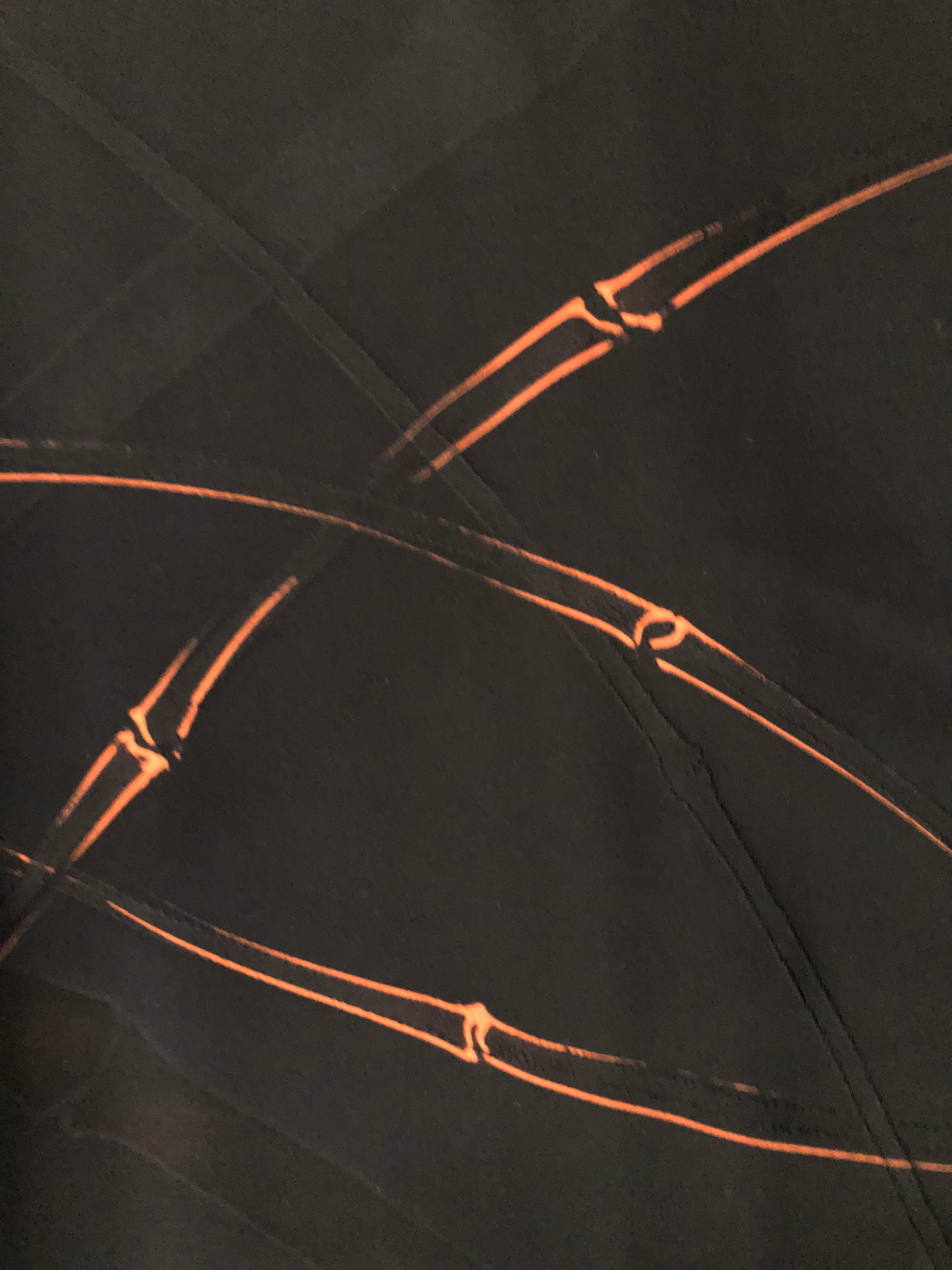Glowing Bamboo - Image 6